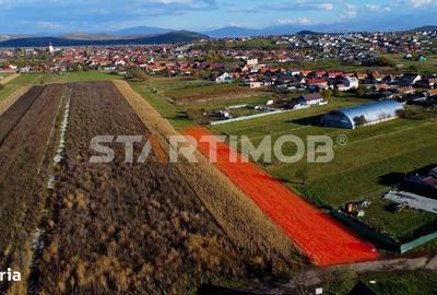 Teren de 3000 mp, în Bod - 8
