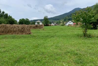 Teren intravilan 5360mp Bistrita Nasaud | Tiha Bargaului - 9