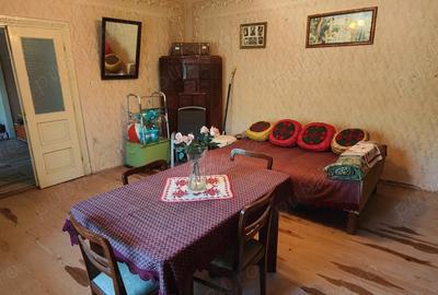 De vanzare casa parinteasca+livada,ambele la soseaua principala - 3