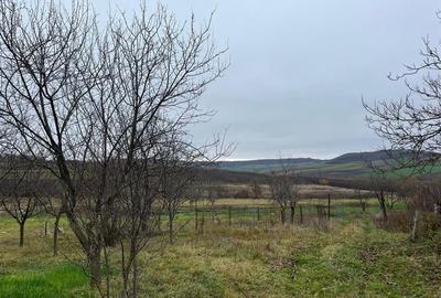 RECO Teren intravilan pentru casa 500 mp , Hidiselu de Sus - 2