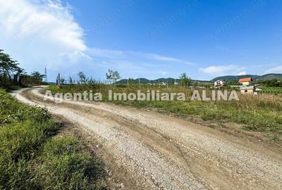 Teren de 1440 mp, în Titu Maiorescu - 2