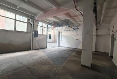 Spațiu industrial, de 235 mp, în Bulgaria - 2