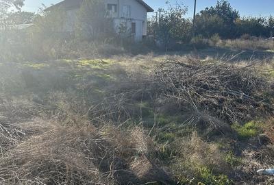 Teren de 500 mp, în Copăceni - 8