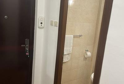 Apartament cu 2 camere semidecomandat în Valea Rosie - 13