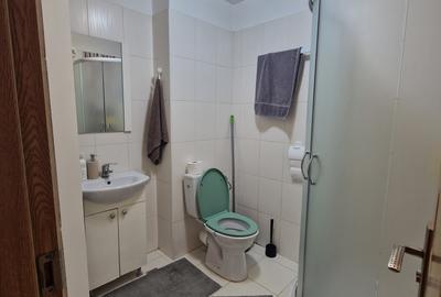 Apartament cu 2 camere semidecomandat, mobilat în Eroii Revoluției - 7