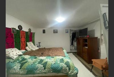 Casa cu garaj in Calnic, 231 mp construiti - 3