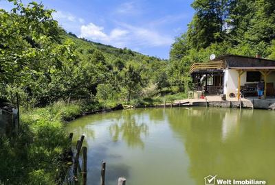 Casa de vacanta, cu lac, 5640 mp teren, Huta, com. Chiuiesti, jud. Cluj Casa de vacanta, cu lac, 5640 mp teren, Huta, com. Chiuiesti, jud. Cluj - 17