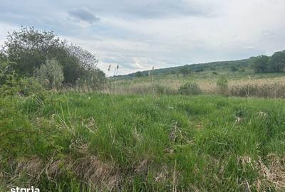 Teren de 1400 mp, în Feleacu - 2