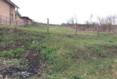 Teren de 900 mp, în Lipovăț - 2