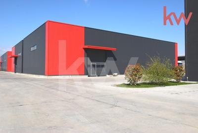 Hale moderne si spatii de birouri de inchiriat, zona aeroportului Craiova - 5