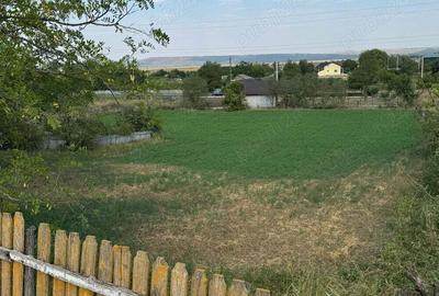 Casa ?i teren 2938 m p in Balteni,Probota - 4