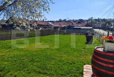 Casă cu 3 camere cu Teren 607 Mp în Carastelec - 5