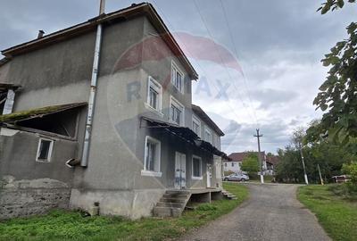 Casă cu 10 camere cu Teren 1000 Mp în Chisindia - 2