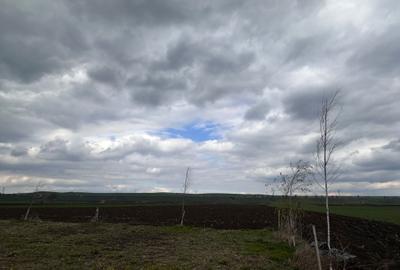 Teren de 10000 mp, în Exterior Vest - 2