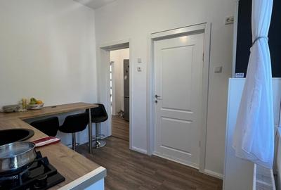 Parcul Carol, Str. Deceneu nr. 8, casa smart spatioasa - 10