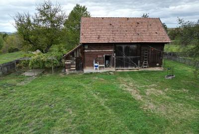 Casă 3 camere 100 M² cu 2360 M² teren - 12