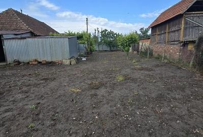 ? Casă renovată cu teren generos - Ciacova, Timiș, 800 mp teren - 7