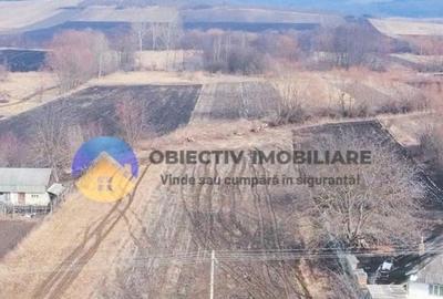 Teren Construcții intravilan de 10515 mp, în Bodești - 2