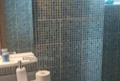 Apartament cu 3 camere decomandat, mobilat în P-ța Alba Iulia - 15