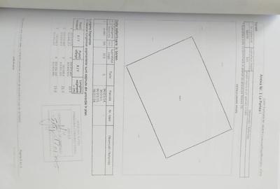 Casa in oglinda, zona Berceni – Strada Macului 110 mp utili | Curte 345 mp - 4