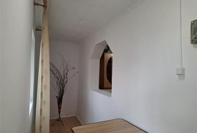 Casa Gugesti, sat Oreavu, 1870 mp teren - 10