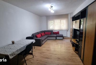 Apartament cu 2 camere în Șega - 2