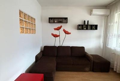 Garsonieră spatioasa recompartimentată în 2 camere ANL Brâncuși, Drumul Taberei - 12