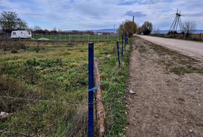 Teren constructie hala/depozit/mica insdustrie/service auto, Halchiu - 7