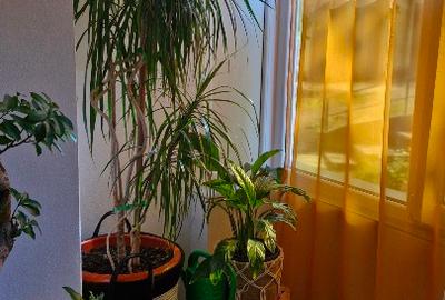 Apartament cu 2 camere decomandat în Central - 15