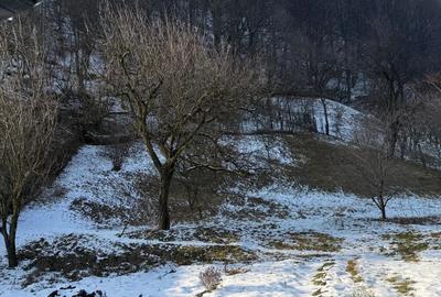 Casa de vanzare Cetateni Arges 100 mp + teren 1000 mp - 11