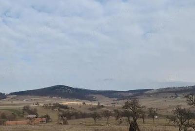 Teren 2282 mp, extravilan, localitatea Fasca, comuna Varciorog, jud. Bihor - 1