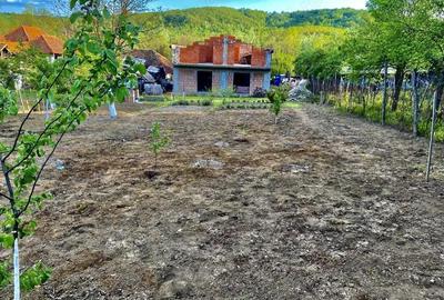 Casă cu 4 camere cu Teren 5000 Mp în Central - 6