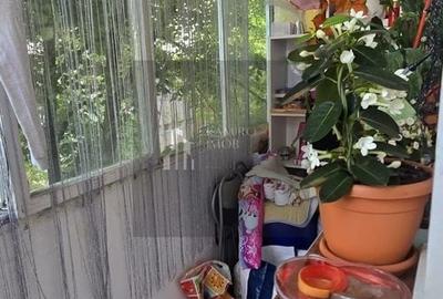 Apartament cu 2 camere decomandat, mobilat în Drumul Găzarului - 11