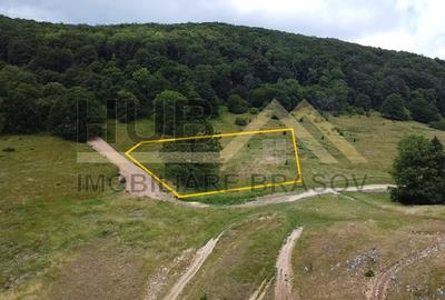 Teren Intravilan | Poiana Brasov | 5.000mp | Necesar PUZ - 2