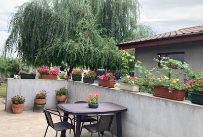 Vilă spectaculoasă – 249 mp utili, teren 881 mp, dotări premium, mobilata - 29