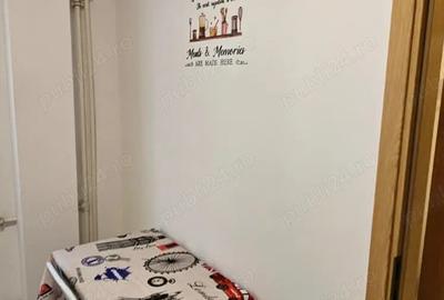 Garsoniera Dr. Taberei ANL Brancusi Dr. Doftanei - 4