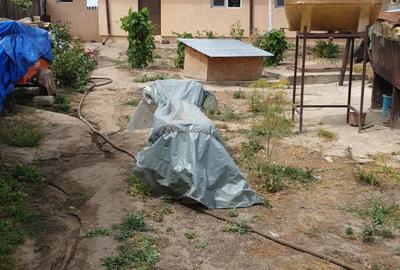 Casă cu 4 camere în Seaca - 5