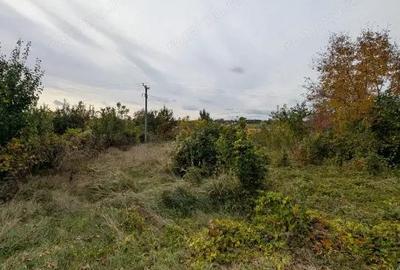 Teren 1966m Arcadie ?eptilici - TNT( Iner) - 8