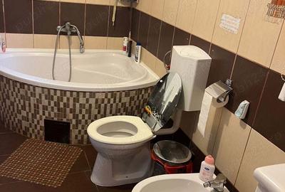 Casa P+1 200mp cu 7000 mp teren - 1