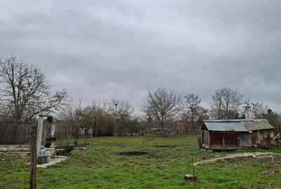 Crevedia - Darza , teren si casa batraneasca - 6