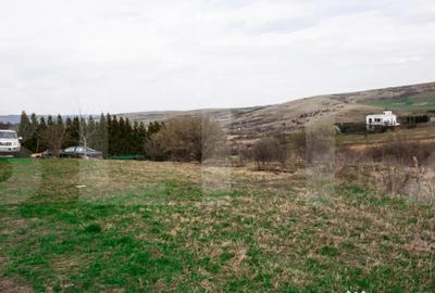 Teren în Borhanci - 13