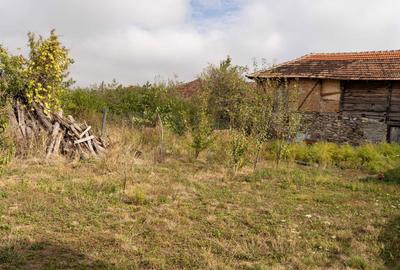 Casă cu 3 camere în Central - 5