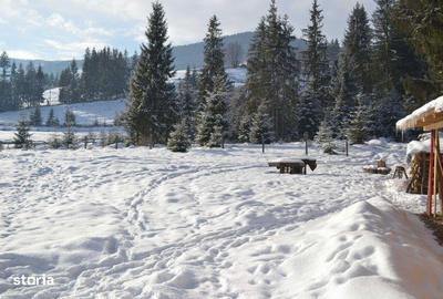 Teren de 1746 mp, în Arieșeni