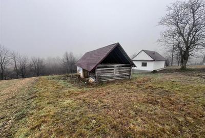 RECO, casa in Sinteu, aproape de Huta Slavia - 15