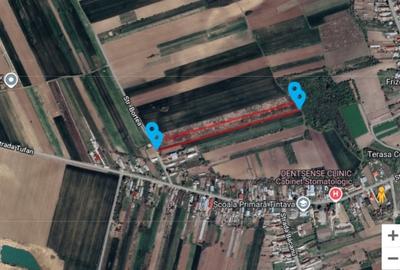 Tandava, vand teren cu deschidere la padure (Gradinari, Giurgiu) - 2