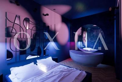 AX1077 Balcescu, Zona Istorica, Proiect Design - 14