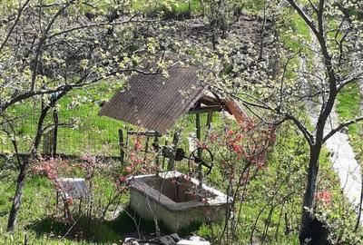 Casă cu 5 camere în Roșia de Amaradia - 3