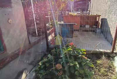 Teren de 247 mp, în Plantelor - 6