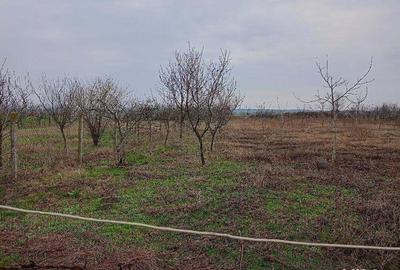 Teren de 1439 mp, în Murani - 1