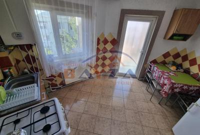 Bucovinei- Baia Mare, apartament 2 camere decomandat - 4